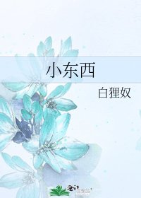 小東西